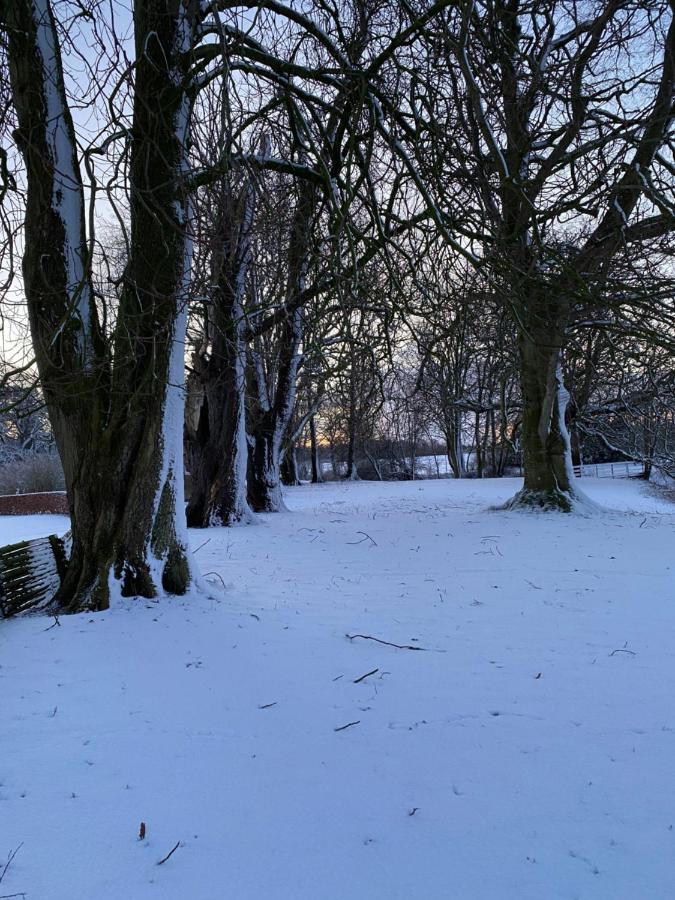 Ronhave Nocleg ze śniadaniem Sønderborg