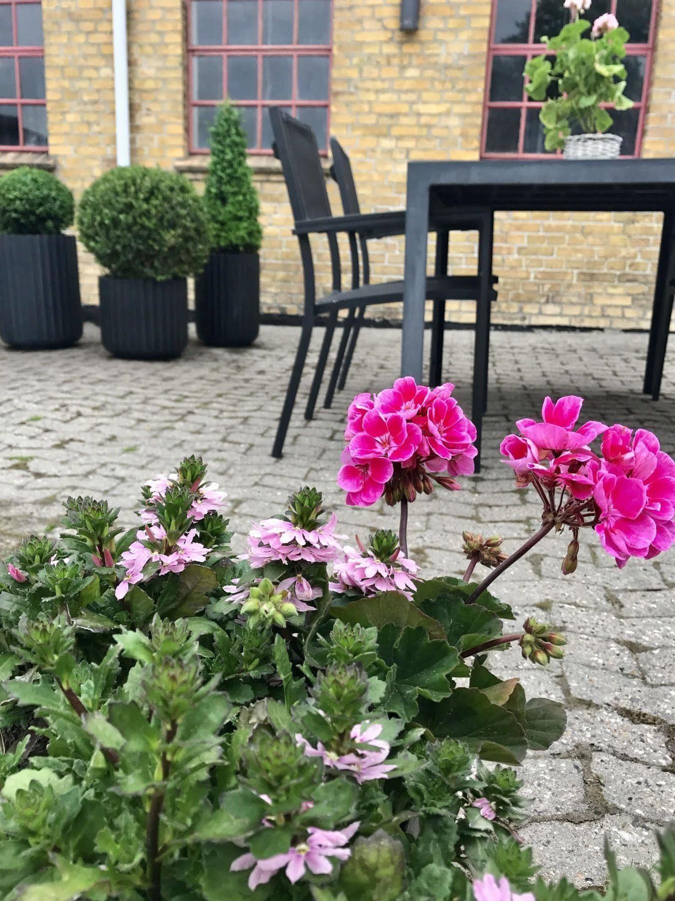 Ronhave Nocleg ze śniadaniem Sønderborg